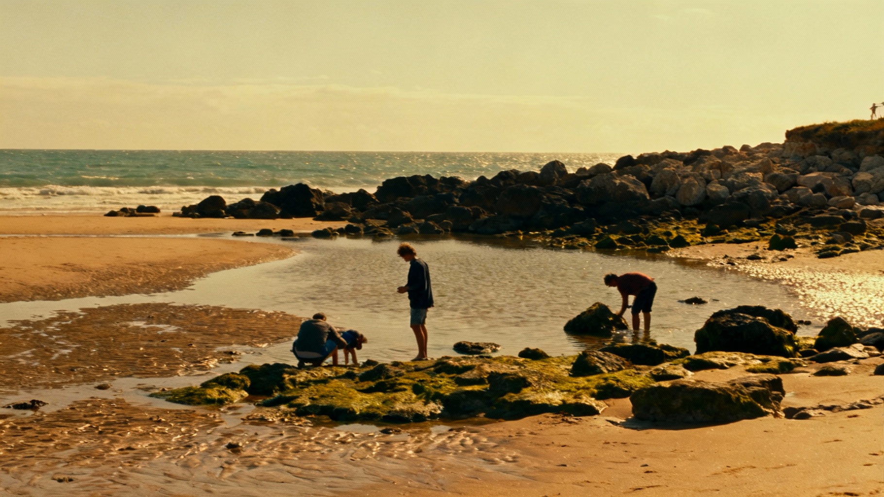 Découvrez la marée à saint-georges-de-didonne
