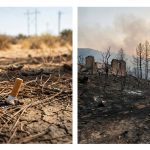 Incendie massif des maures : causes et conséquences