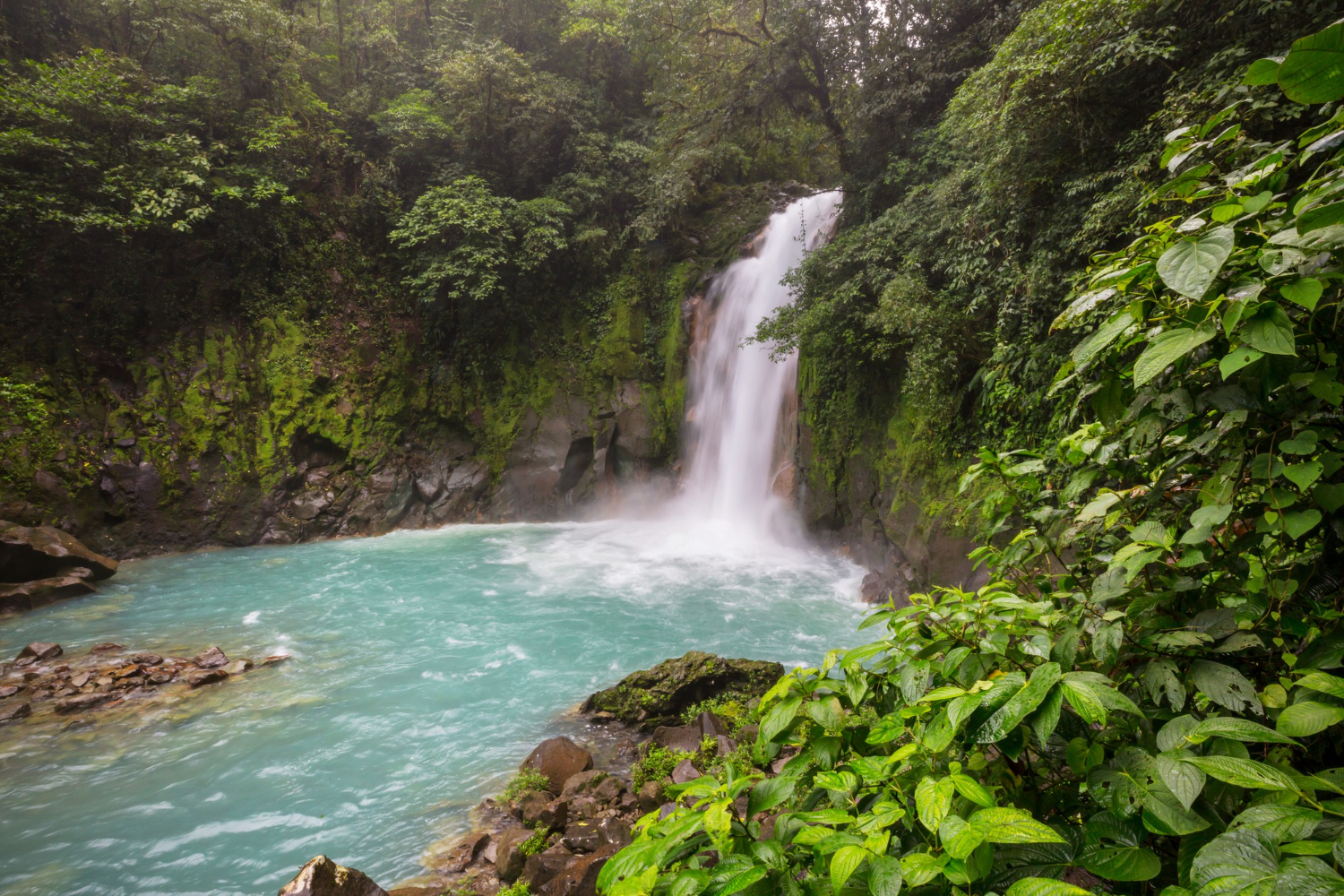 Costa Rica : une destination nature et aventure à découvrir 1 Cascade majestueuse dans la jungle tropicale du Costa Rica. Randonnée tropicale.